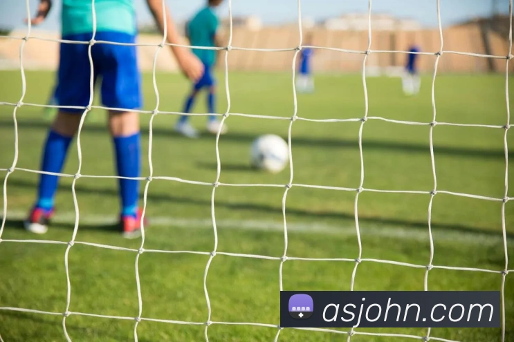 登录器